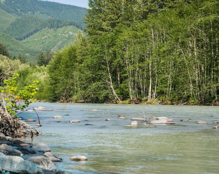 Federation Forest State Park, Washington, USA